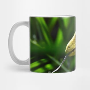 Monitor 2 / Swiss Artwork Photography Mug